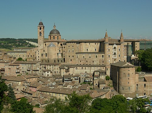 Urbino